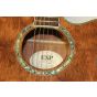 XTone Bubinga Exotic Wood Sample Acoustic Guitar, XEWB