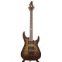 ESP Horizon-CTM Original Series Flamed Maple Black Fog Electric Guitar, EHORCTMFMBF