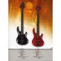 ESP LTD B-205 HSN Sample/Prototype Bass Guitar Korea, LB205HSN