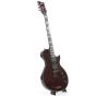 ESP LTD Xtone PD-1 See Thru Black Cherry Sample/Prototype Electric Guitar 2098, XPD1STBC