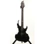 ESP LTD FRX-401 BLK 2015 Black Electric Guitar, LFRX401BLK