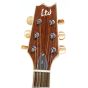 ESP LTD TL-6 BLK Black Thinline Acoustic Electric Steel String Guitar, LTL6BLK