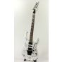 Ibanez RG350DX Hand Signed by Y&T and Tesla the band Electric Guitar, RG350DX