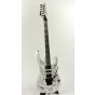 Ibanez RG350DX Hand Signed by Y&T and Tesla the band Electric Guitar, RG350DX