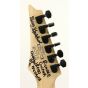 Ibanez RG350DX Hand Signed by Y&T and Tesla the band Electric Guitar, RG350DX