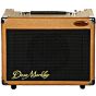 Dean Markley UltraSound CP100 Acoustic Guitar Combo Amp, CP100