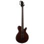 Dean EVO Bass Mahogany Finish EVOXM BASS, EVOXM BASS