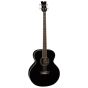 Dean Acoustic Electric Bass Fretless CBK EAB FL CBK, EAB FL CBK