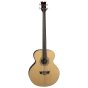 Dean Acoustic Electric Bass Fretless GN EAB FL, EAB FL