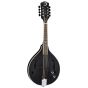 Luna Moonbird A Style Mandolin w/Piezo BGM MOON A, BGM MOON A