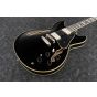 Ibanez JSM20 BKL John Scofield Black Low Gloss Hollow Body Electric Guitar w/Case, JSM20BKL