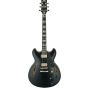 Ibanez JSM20 BKL John Scofield Black Low Gloss Hollow Body Electric Guitar w/Case, JSM20BKL