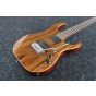 Ibanez Marco Sfogli Signature MSM1 Electric Guitar w/Case, MSM1
