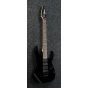 Ibanez RG Genesis Collection Black RG570 BK Electric Guitar, RG570BK