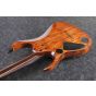 Ibanez RGD71AL ANB RGD Axion Label 7 String Antique Brown Stained Burst Electric Guitar, RGD71ALANB