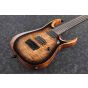 Ibanez RGD71AL ANB RGD Axion Label 7 String Antique Brown Stained Burst Electric Guitar, RGD71ALANB