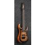 Ibanez RGD71AL ANB RGD Axion Label 7 String Antique Brown Stained Burst Electric Guitar, RGD71ALANB