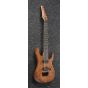 Ibanez RGIXL7 ABL RG Iron Label 7 String 27" scale Antique Brown Stained Low Gloss Electric Guitar, RGIXL7ABL