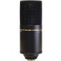 MXL 770 Condenser Microphone, MXL-770