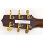 Takamine Custom Shop SG-CPD-AC1 Acoustic Guitar SN #3, TAKSGCPDAC1 3