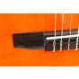 Ibanez AEG10NII Classical Acoustic Electric Guitar Tangerine B-Stock 0677, AEG10NIITNG.B 0677