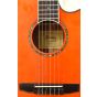 Ibanez AEG10NII Classical Acoustic Electric Guitar Tangerine B-Stock 0677, AEG10NIITNG.B 0677