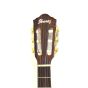 Ibanez AEG10NII Classical Acoustic Electric Guitar Tangerine B-Stock 0677, AEG10NIITNG.B 0677