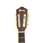 Ibanez AEG10NII Classical Acoustic Electric Guitar Tangerine B-Stock 0677, AEG10NIITNG.B 0677